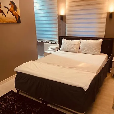 Goel * 伊斯坦布尔